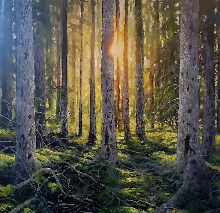 The woods by Victoria Ballard 